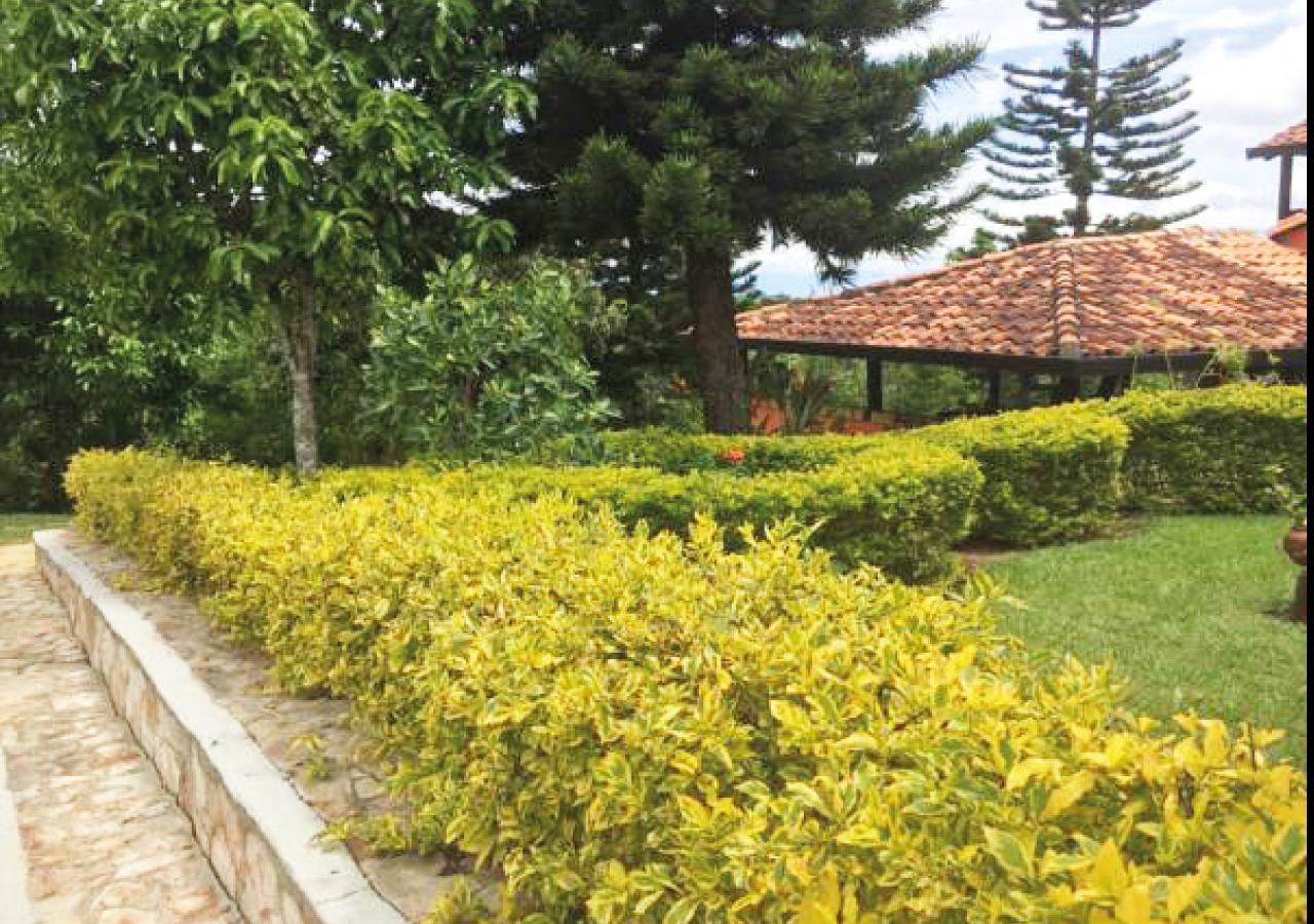 Hotel Cristo Rey Campestre Los Santos  Exterior photo